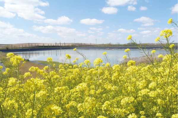 Aqualia y dos ONG de España y Colombia ponen en marcha iniciativas locales gracias a las becas de IFM Investors
